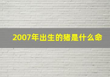 2007年出生的猪是什么命