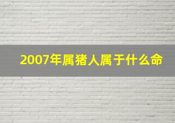 2007年属猪人属于什么命