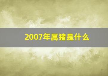 2007年属猪是什么