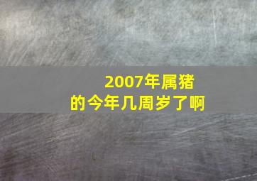 2007年属猪的今年几周岁了啊