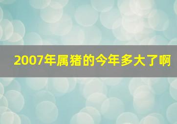 2007年属猪的今年多大了啊