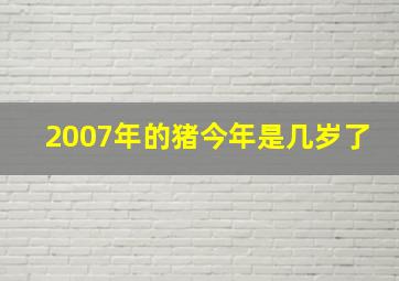 2007年的猪今年是几岁了