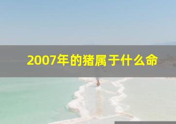 2007年的猪属于什么命