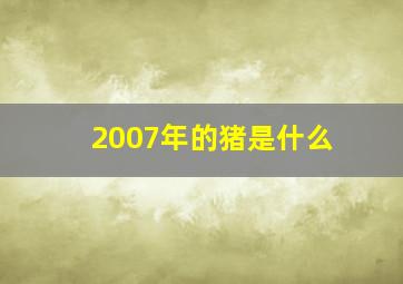 2007年的猪是什么