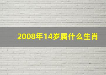 2008年14岁属什么生肖