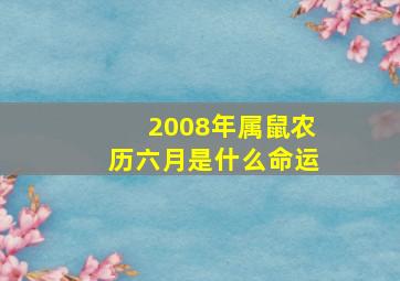 2008年属鼠农历六月是什么命运