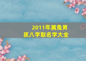 2011年属兔男孩八字取名字大全