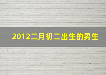 2012二月初二出生的男生