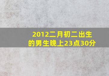 2012二月初二出生的男生晚上23点30分