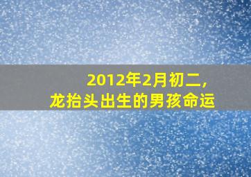 2012年2月初二,龙抬头出生的男孩命运