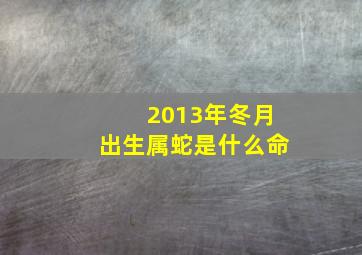 2013年冬月出生属蛇是什么命