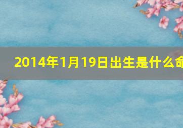 2014年1月19日出生是什么命