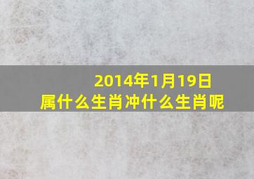 2014年1月19日属什么生肖冲什么生肖呢