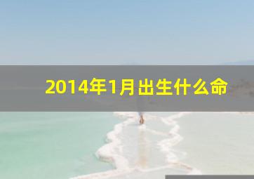 2014年1月出生什么命