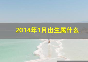 2014年1月出生属什么