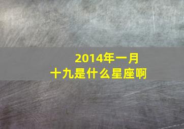 2014年一月十九是什么星座啊