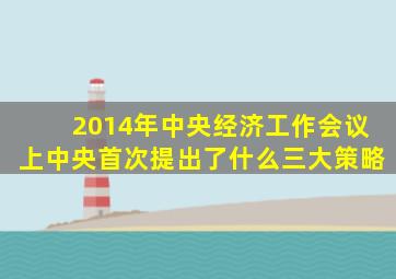 2014年中央经济工作会议上中央首次提出了什么三大策略