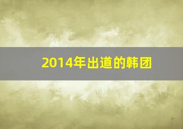 2014年出道的韩团