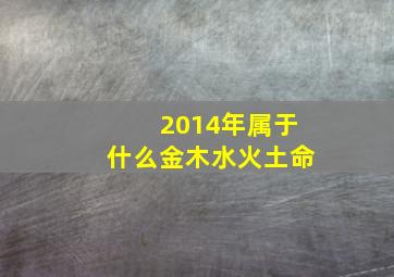 2014年属于什么金木水火土命