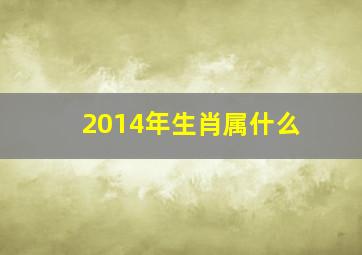 2014年生肖属什么