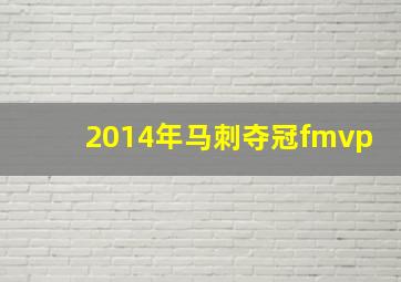 2014年马刺夺冠fmvp