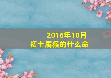 2016年10月初十属猴的什么命