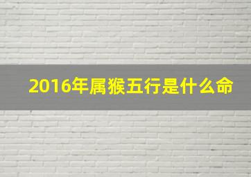 2016年属猴五行是什么命