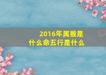 2016年属猴是什么命五行是什么