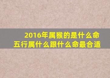 2016年属猴的是什么命五行属什么跟什么命最合适