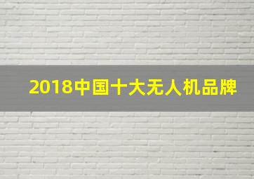 2018中国十大无人机品牌