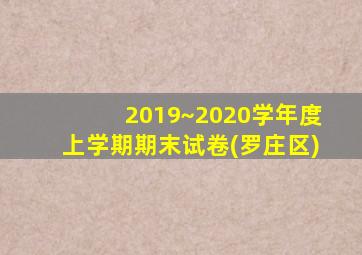 2019~2020学年度上学期期末试卷(罗庄区)