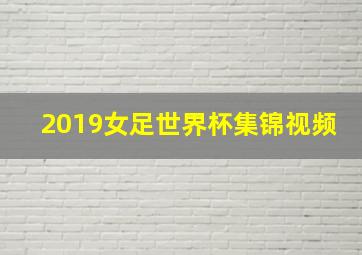 2019女足世界杯集锦视频