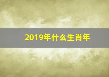 2019年什么生肖年