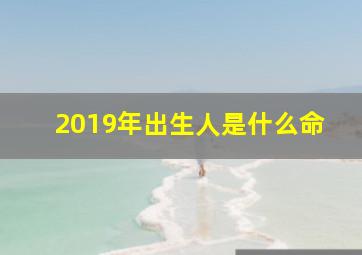 2019年出生人是什么命