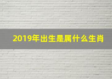 2019年出生是属什么生肖