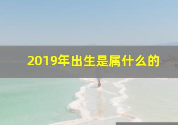 2019年出生是属什么的