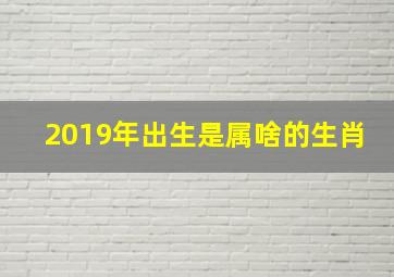 2019年出生是属啥的生肖