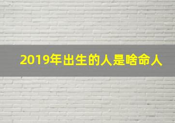 2019年出生的人是啥命人