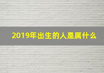 2019年出生的人是属什么