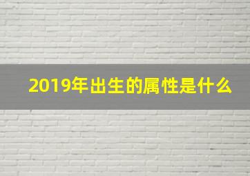 2019年出生的属性是什么