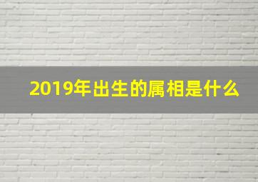 2019年出生的属相是什么