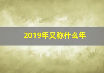 2019年又称什么年