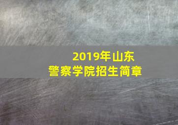 2019年山东警察学院招生简章