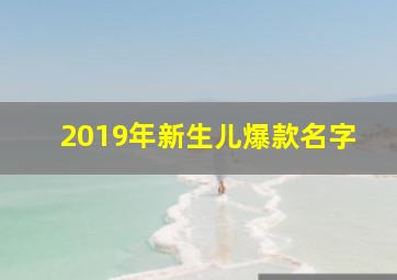 2019年新生儿爆款名字