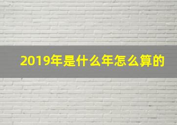 2019年是什么年怎么算的