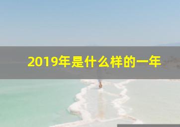 2019年是什么样的一年