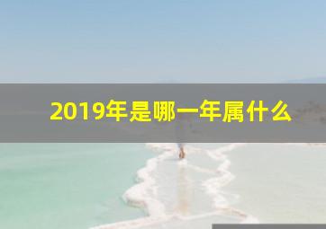 2019年是哪一年属什么