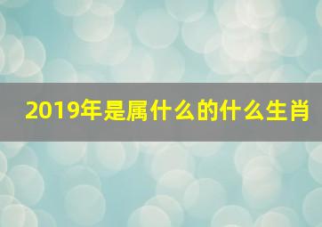 2019年是属什么的什么生肖