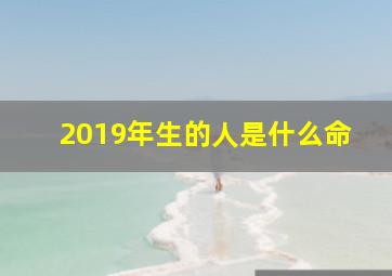 2019年生的人是什么命