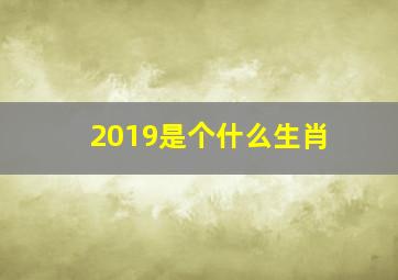 2019是个什么生肖